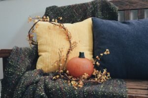 autumn aesthetic, pumpkin, fall colors, home decor, fall, autumn, pillows, fall scene, homey, interior, fall setting, cozy